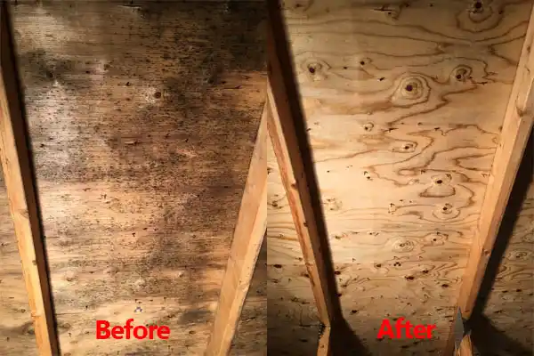 water damage restoration service Crete
